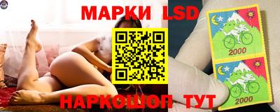 прущие грибы Мариинск
