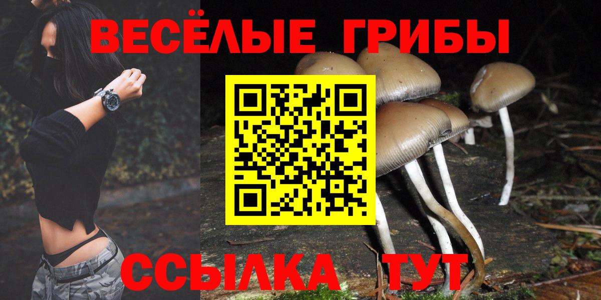 Псилоцибиновые грибы Magic Shrooms  Владивосток  купить   Псилоцибиновые грибы ЛСД 