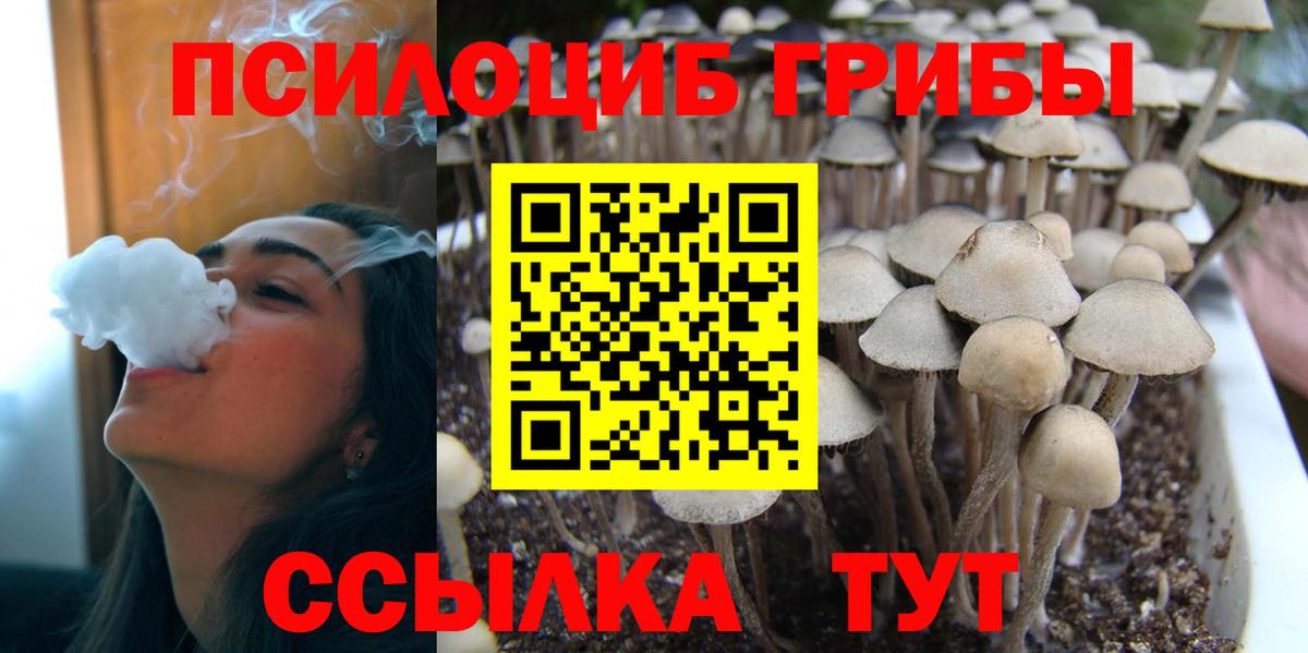 Галлюциногенные грибы Magic Shrooms Владивосток