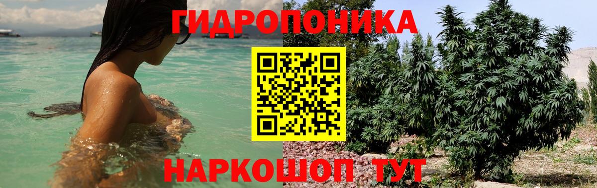 Канабис THC 21%  Шишки марихуана планчик  Владивосток  МАРИХУАНА SATIVA & INDICA  Вход с VPN  МАРИХУАНА THC 21% 